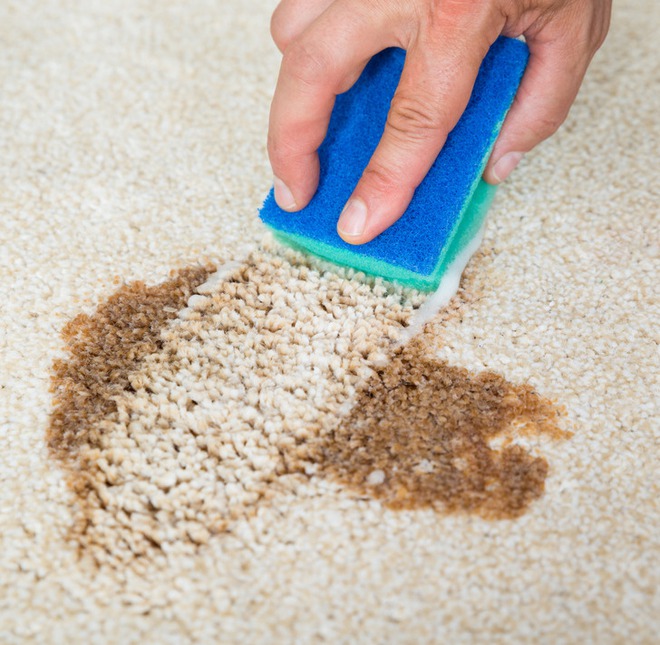 8 lời mách giúp an toàn cho ai hay sử dụng chất tẩy rửa để làm sạch nhà - Ảnh 6.