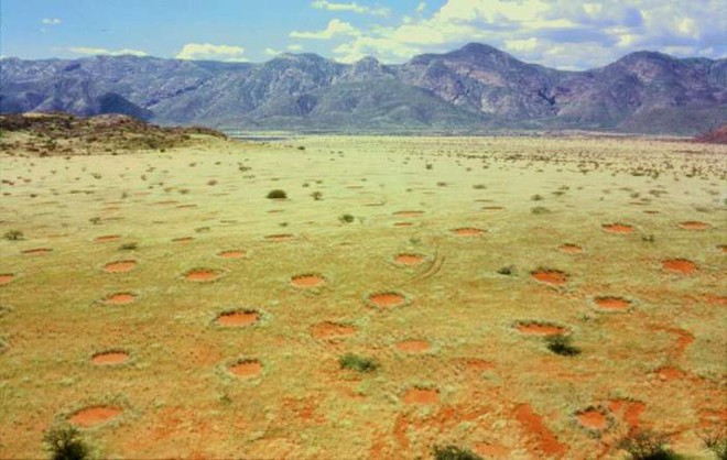 Sự thật về vòng tròn trên trời rơi xuống ở Namibia khiến các nhà khoa học đau đầu suốt 5 thập kỷ - Ảnh 3. Sự thật về vòng tròn trên trời rơi xuống ở Namibia khiến các nhà khoa học đau đầu suốt 5 thập kỷ - Ảnh 3.