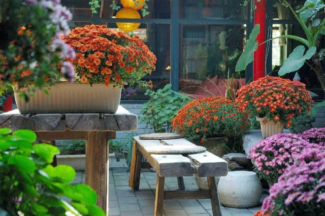 C&ocirc; g&aacute;i trẻ cải tạo đất, mua giống hoa, biến s&acirc;n nh&agrave; th&agrave;nh khu vườn đẹp lung linh - Ảnh 6.