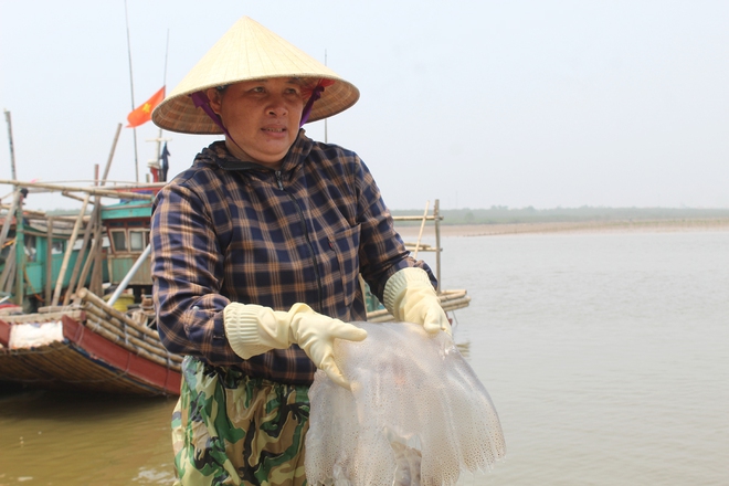 Đánh bắt &quot;vàng trắng&quot;, chế biến các món giải nhiệt ngày hè - Ảnh 1.