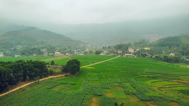 Sự thật về nơi có rừng trúc xanh mướt, nhiều người lùng sục suốt nhiều ngày qua vì muốn đưa gia đình tới tránh nóng - Ảnh 5.