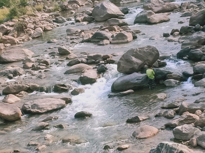 Hình ảnh cá chết nổi đầy trên 1 con sông ở Quảng Nam - Ảnh 5.