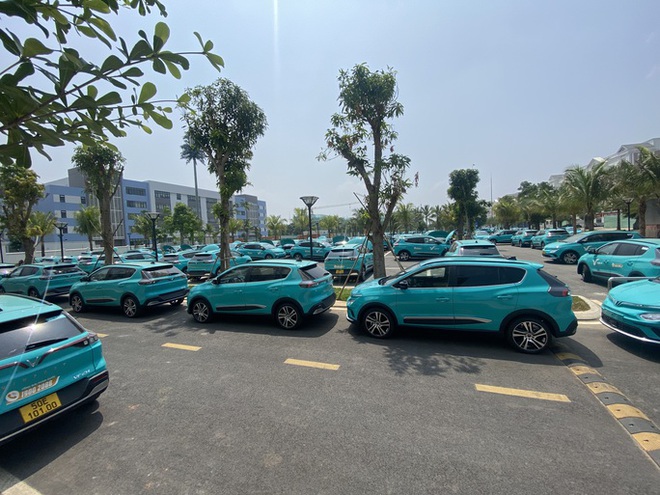 Cận cảnh hàng trăm taxi điện của tỉ phú Phạm Nhật Vượng tại TP.HCM - Ảnh 3.