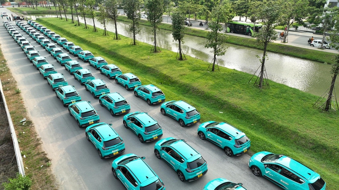 Cận cảnh hàng trăm taxi điện của tỉ phú Phạm Nhật Vượng tại TP.HCM - Ảnh 1.