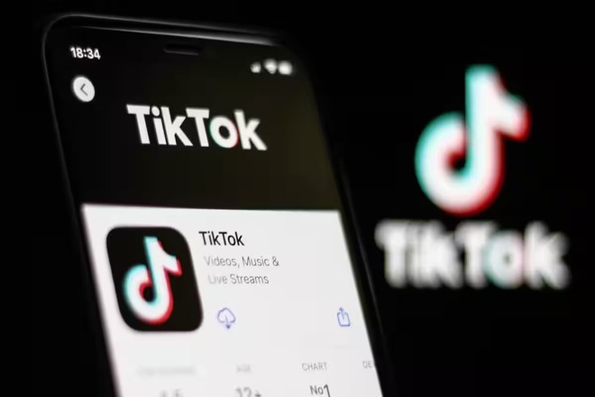 Nhạc chế độc hại trên TikTok Việt - Ảnh 4.