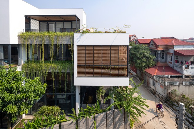 Chiêm ngưỡng nhà 3 tầng ngập gió và ánh sáng được đề cử là công trình của năm - Ảnh 8.