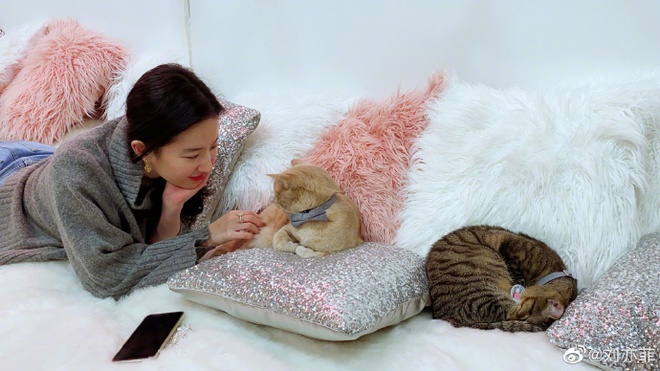 Tuổi 35 của Lưu Diệc Phi: Hưởng thụ cuộc sống &quot;phú bà quyền lực&quot;, sống độc thân trong biệt thự sang chảnh cùng 16 con mèo - Ảnh 6.