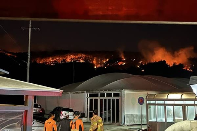 Thảm họa cháy rừng Hàn Quốc khiến hơn 3.000 ha bị thiêu rụi - Ảnh 1.