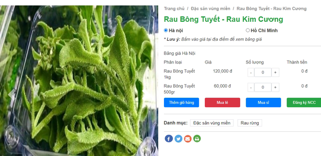 Loại rau cực lạ được người Trung Quốc mệnh danh l&agrave; rau vương giả, ở Việt Nam cả trăm ngh&igrave;n/ kg người s&agrave;nh ăn vẫn l&ugrave;ng đến ch&aacute;y h&agrave;ng - Ảnh 3.