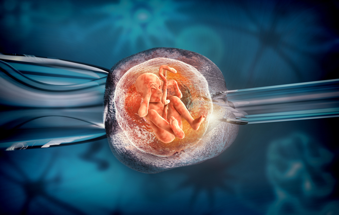 Loạt sao Việt &ldquo;t&igrave;m con&rdquo; nhờ thụ tinh trong ống nghiệm: Điều n&ecirc;n biết trước khi thực hiện IVF để tăng tỉ lệ th&agrave;nh c&ocirc;ng - Ảnh 5.