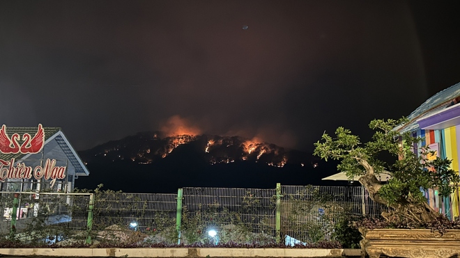 Cơ bản khống chế đám cháy rừng thông tại Đà Lạt - Ảnh 2.