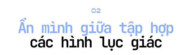 Một thợ in về hưu tìm ra hình einstein, giải thành công bài toán nổi tiếng - Ảnh 9.