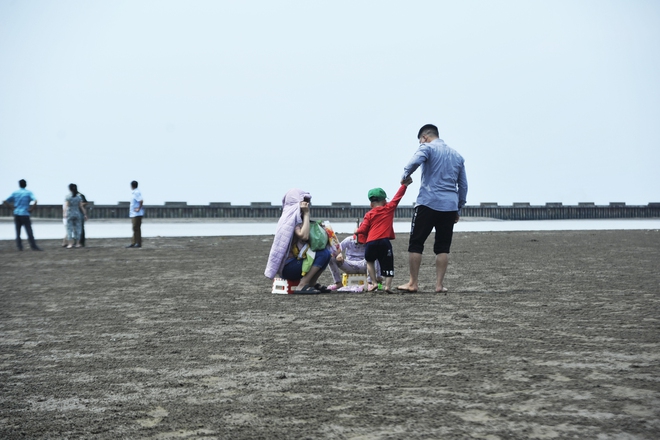 Du khách thích thú bắt hải sản tự nhiên tại bãi biển hoang sơ ở Ninh Bình trong kì nghỉ lễ - Ảnh 6.