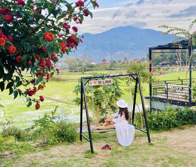 Hậu ly h&ocirc;n, single mom L&acirc;m Đồng về qu&ecirc; tự l&agrave;m căn nh&agrave; vườn với mức chi ph&iacute; khiến bao người ước ao - Ảnh 9.