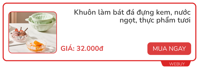 Trời nóng review 2 sản phẩm làm đá kỳ quặc trên chợ mạng: Có món dùng một lần bỏ luôn - Ảnh 14.