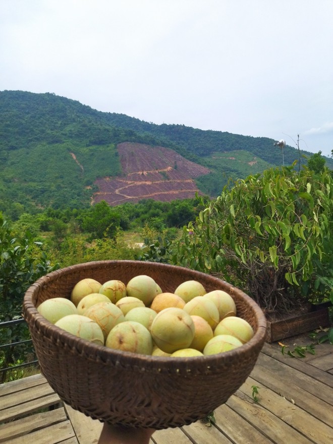 Sau 10 năm phiêu bạt, chàng trai 28 tuổi quyết định về quê khai hoang và phụng dưỡng cha mẹ già - Ảnh 4.