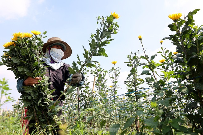 H&agrave; Nội: Người lao động quay quắt dưới nắng n&oacute;ng như đổ lửa - Ảnh 13.
