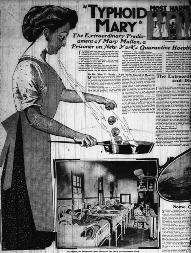 V&igrave; sao Typhoid Mary - Mary thương h&agrave;n lại bị c&aacute;ch ly 23 năm? - Ảnh 3.