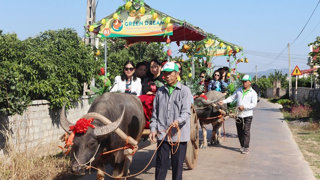 Một nơi được mệnh danh "vựa trái cây" miền Bắc, chỉ tốn 3 tiếng đi từ Hà Nội, thích hợp đưa gia đình đi vào mùa hè này - Ảnh 5.