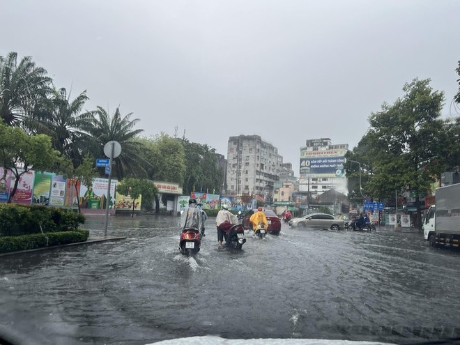 Cuối tuần mưa lớn, đường ngập, cây đổ ở TP HCM - Ảnh 3.