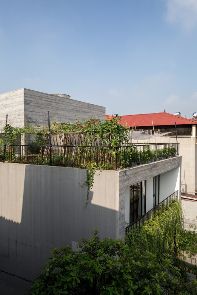 M&aacute;i nh&agrave; 3 trong 1 thiết kế gi&uacute;p nh&agrave; m&aacute;t mẻ, chống tiếng ồn lại c&oacute; rau sạch ăn quanh năm - Ảnh 4.