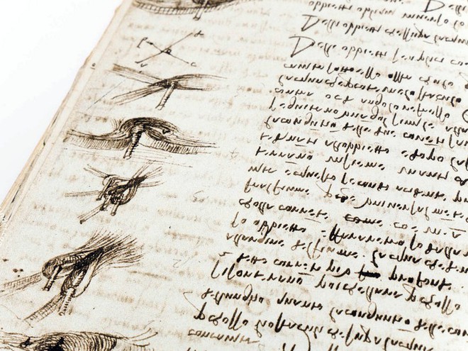C&oacute; những b&iacute; mật g&igrave; b&ecirc;n trong cuốn s&aacute;ch đắt gi&aacute; nhất thế giới - Codex Leicester? - Ảnh 5.