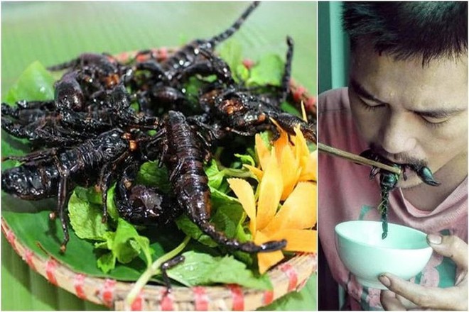 Khách Tây ăn thử một món từ côn trùng Việt Nam rồi nhận xét: Ban đầu có thể sợ nhưng sau chắc chắn sẽ nghiện! - Ảnh 8.