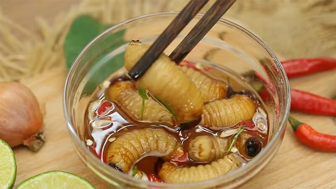 Khách Tây ăn thử một món từ côn trùng Việt Nam rồi nhận xét: Ban đầu có thể sợ nhưng sau chắc chắn sẽ nghiện! - Ảnh 7.