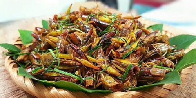 Khách Tây ăn thử một món từ côn trùng Việt Nam rồi nhận xét: Ban đầu có thể sợ nhưng sau chắc chắn sẽ nghiện! - Ảnh 6.