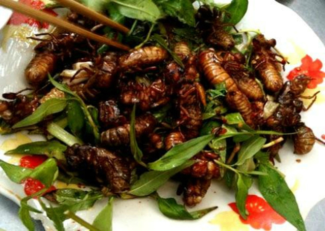 Khách Tây ăn thử một món từ côn trùng Việt Nam rồi nhận xét: Ban đầu có thể sợ nhưng sau chắc chắn sẽ nghiện! - Ảnh 5.