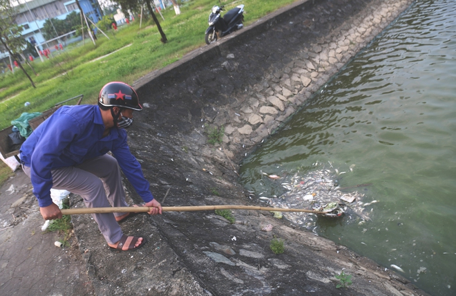 Cá chết nổi dày đặc tại hồ điều hòa Công viên Trung tâm TP Hà Tĩnh - Ảnh 7.