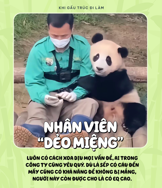 Những ch&uacute; gấu tr&uacute;c đang cực hot v&igrave; những c&aacute; t&iacute;nh ri&ecirc;ng biệt l&agrave;m li&ecirc;n tưởng đến c&aacute;c nh&oacute;m c&aacute; t&iacute;nh đại diện trong m&ocirc;i trường tập thể hay c&ocirc;ng sở - Ảnh 4.