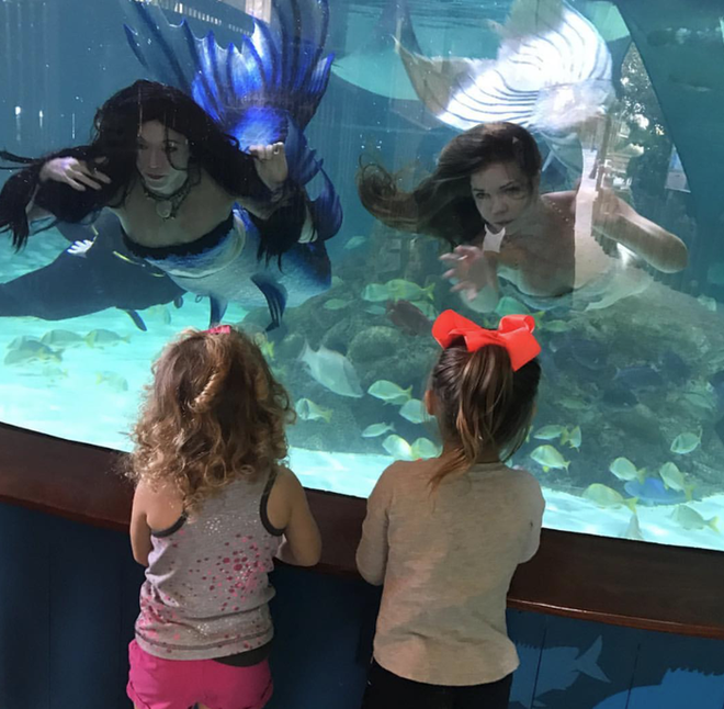 Nghề l&agrave;m n&agrave;ng ti&ecirc;n c&aacute;: Khổ cực trăm bề nhưng h&agrave;ng ngh&igrave;n người đam m&ecirc; - Ảnh 7.