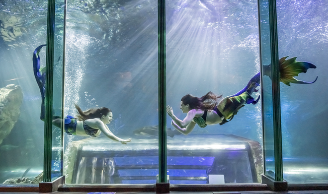 Nghề l&agrave;m n&agrave;ng ti&ecirc;n c&aacute;: Khổ cực trăm bề nhưng h&agrave;ng ngh&igrave;n người đam m&ecirc; - Ảnh 6.