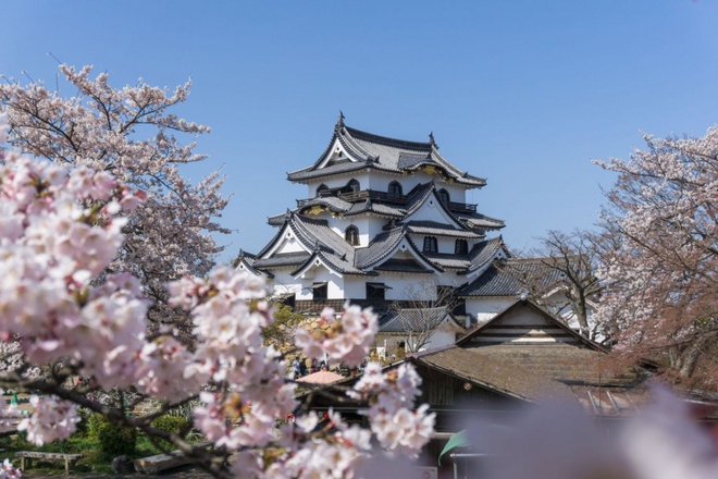 Những lâu đài đáng ghé thăm nhất tại Nhật Bản - Ảnh 7.