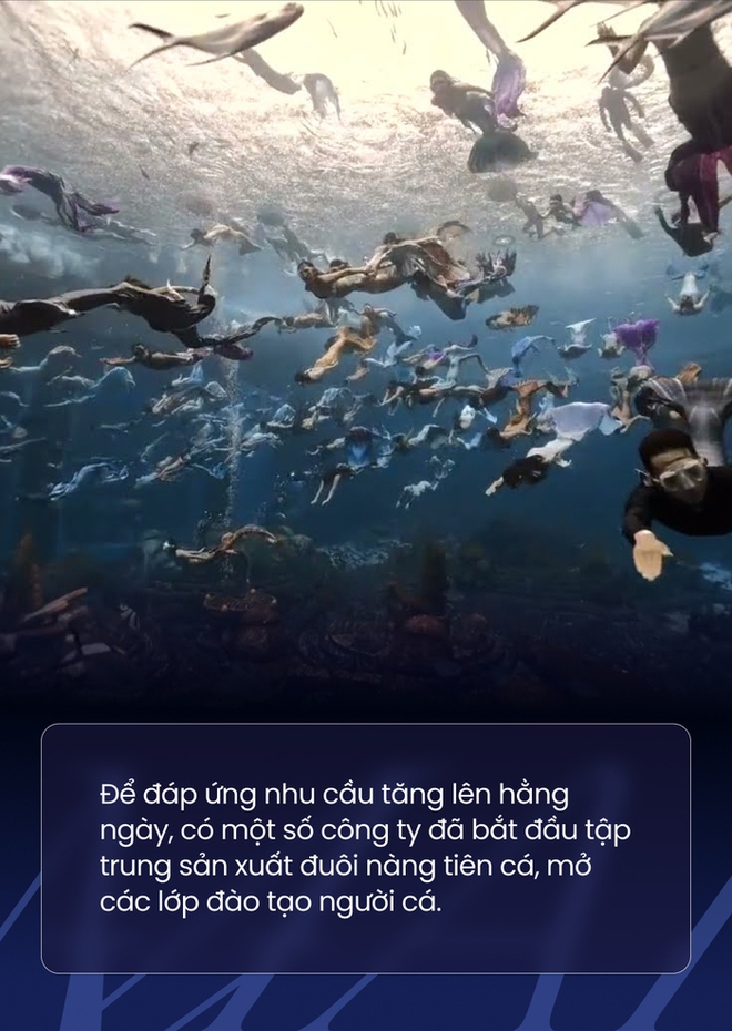 Nghề l&agrave;m n&agrave;ng ti&ecirc;n c&aacute;: Khổ cực trăm bề nhưng h&agrave;ng ngh&igrave;n người đam m&ecirc; - Ảnh 1.