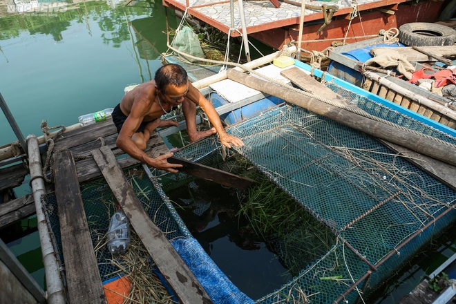 Từ thời cha sinh mẹ đẻ, đây là lần thứ 2 tôi đi bộ được dưới đáy sông Đà - Ảnh 4.