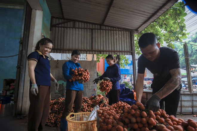 Chùm ảnh: Người dân Bắc Giang trắng đêm soi đèn thu hoạch vải thiều, nô nức chở đi bán từ tờ mờ sáng - Ảnh 18.