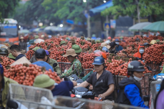 Chùm ảnh: Người dân Bắc Giang trắng đêm soi đèn thu hoạch vải thiều, nô nức chở đi bán từ tờ mờ sáng - Ảnh 13.