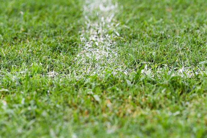 Đội tuyển Việt Nam gồng gánh sẵn sàng cho trận đấu với Đội tuyển Syria tại sân Thiên Trường