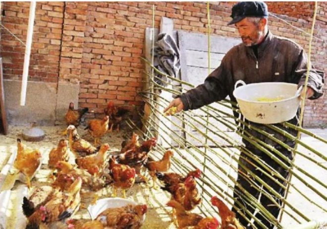 &Ocirc;ng l&atilde;o nhặt được hũ gốm, mang về l&agrave;m chậu cho g&agrave; ăn, ai ngờ l&agrave; bảo vật v&ocirc; gi&aacute; - Ảnh 1.