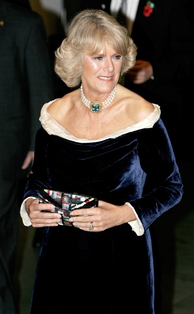 Ngoại hình Hoàng hậu Camilla trong hơn 4 thập kỷ qua - Ảnh 14.
