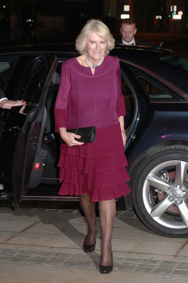 Ngoại hình Hoàng hậu Camilla trong hơn 4 thập kỷ qua - Ảnh 20.