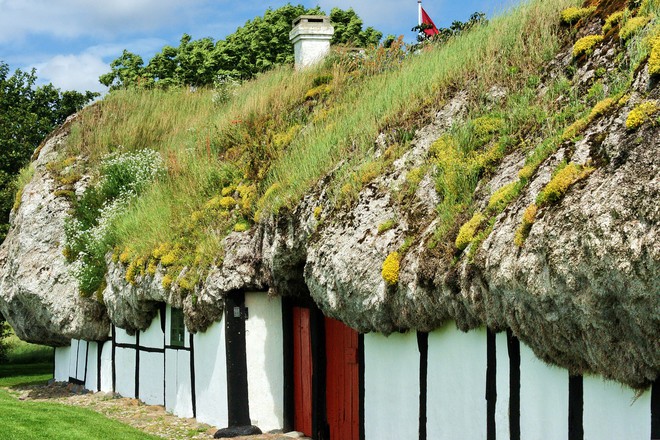 Những ng&ocirc;i nh&agrave; lợp rong biển tồn tại hơn 300 năm, thứ vật liệu rẻ b&egrave;o xứng đ&aacute;ng để cả thế giới bắt chước - Ảnh 6.