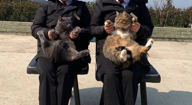 C&ocirc; g&aacute;i Gen Z lương hơn 10 triệu, kh&ocirc;ng KPI, đi l&agrave;m m&agrave; như nghỉ hưu - Ảnh 1.