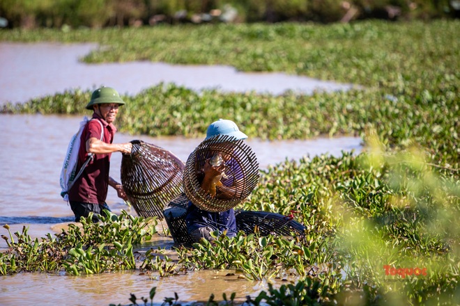 Hàng chục Cây Nơm nhân dân xuống bàu Rồng để bắt cá vào Tết Đoan Ngọ - Ảnh 10.