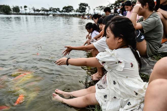 Người dân Hà Nội thích thú vui đùa với 12.000 con cá Koi - Ảnh 10.