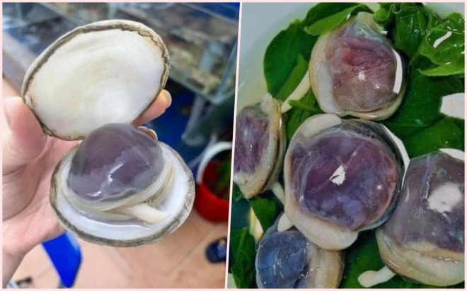 6 đặc sản v&ugrave;ng miền đắt đỏ nhất Việt Nam - Ảnh 2.