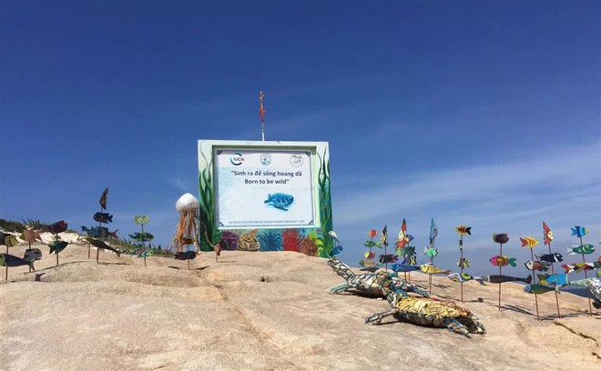 Có một hòn đảo mang tên Cù lao nhưng ít người biết ở Bình Thuận: Khung cảnh hoang sơ, không có khách sạn, nhà nghỉ - Ảnh 5.