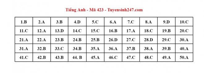 Cập nhật đ&aacute;p &aacute;n m&ocirc;n Tiếng Anh kỳ thi tốt nghiệp THPT 2023 - Ảnh 2.